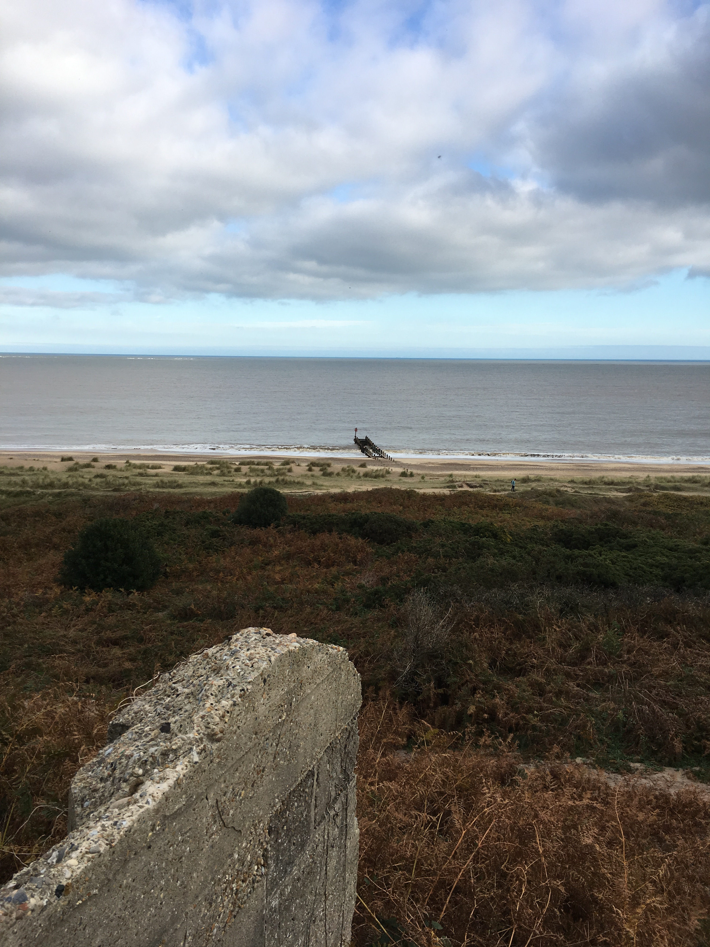 Gunton Cliffs, Lowestoft (2)